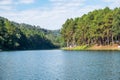 Viewpoint reservoir with pine forest in sunny at pang oung Royalty Free Stock Photo