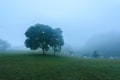 Viewpoint sea of mist, Beautiful mountain view with fog, sunrise scene, Doi Samer Dao