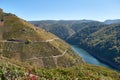 Viewpoint of the Sil Canyons in Sober, Lugo, Galicia, Spain.