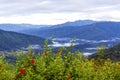 Viewpoint sunrise morning and flower