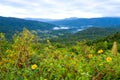 Viewpoint sunrise mountain and flower