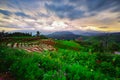 Viewpoint,Sunset,Terraced rice field in Pa Pong Pieng,Mae Chaem,Chiang Mai,Thailand Royalty Free Stock Photo