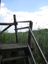 Viewpoint in the swamp