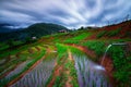 Viewpoint,Terraced rice field in Pa Pong Pieng,Mae Chaem,Chiang Royalty Free Stock Photo