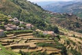 Viewpoint of the Terraces overlooking the Agricultural terraces Sistelo, Portugal