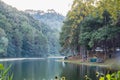 Viewpoint tourists camping in pine forest on reservoir at evening