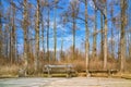 Viewpoint with two wooden benches and trash box on sunny day