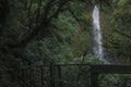 Viewpoint of a waterfall in the middle of the cloud forest Royalty Free Stock Photo