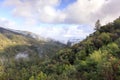 Views above Uvas Canyon after Storm Clears