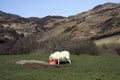 Views around Capel Curig