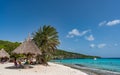 Palapa and Tree at Cas Abou Beach shoreline Views around the caribbean island of Curacao Royalty Free Stock Photo