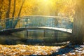 Views of the autumn park with yellow leaves on snow in sun rays and river bridge. Royalty Free Stock Photo