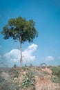 Views of blue skies and natural landscapes