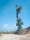 Views of blue skies and natural landscapes