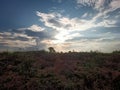 Views of blue skies and natural landscapes