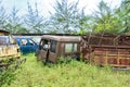 Views of broken down multiple kind of vehicles with the plants start to grow around them