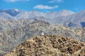 Views of a buddhist stupa and desert mountains from Hemis monastery in Ladakh, India Royalty Free Stock Photo