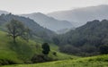 Views of Byrne Preserve towards Santa Cruz Mountains