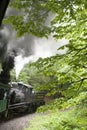 Views seen from the Cass Scenic Railroad, West Virginia Royalty Free Stock Photo