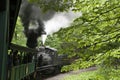 Views seen from the Cass Scenic Railroad, West Virginia