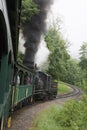 Views seen from the Cass Scenic Railroad, West Virginia