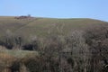 Views of The Cerne Abbas Giant, in Cerne Abbas, Dorset in the UK Royalty Free Stock Photo