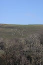 Views of The Cerne Abbas Giant, in Cerne Abbas, Dorset in the UK Royalty Free Stock Photo