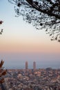 Views of the city of Barcelona during sunset with tree frame