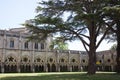 Views of the cloisters in Salisbury Cathedral in Wiltshire in the UK Royalty Free Stock Photo