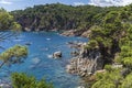 Views of the coast in `Punta des Forcats` with boats and people in the water in Calella de Palafrugell.