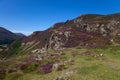 Views from Conwy Mountain