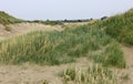 Views of the dunes of the North Sea
