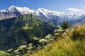 Views of the Eiger, MÃÂ¶nch and Jungfrau from Schynige Platte, Switzerland Royalty Free Stock Photo
