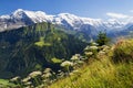 Views of the Eiger, MÃÂ¶nch and Jungfrau from Schynige Platte, Switzerland