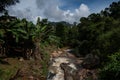 Views from Ella Rock Hiking Trail