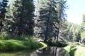 Views from the famed Donner Pass State Park in California near Lake Tahoe