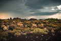 Views of fields covered with lava and plants on the horizon Royalty Free Stock Photo