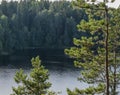 Views of forest lake through the trees Royalty Free Stock Photo