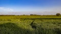 Golan Heights nature Trail - spring 2019