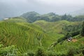 Views of green Longji terraced fields