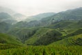 Views of green Longji terraced fields and Tiantouzhai village Royalty Free Stock Photo