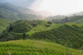 Views of green Longji terraced fields and Tiantouzhai village Royalty Free Stock Photo