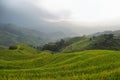 Views of green Longji terraced fields