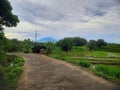 Views of green rice fields and beautifull mountain