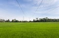 Views of green rice fields with high-voltage poles and blue sky cloud Royalty Free Stock Photo