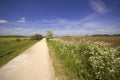 Views from The Greenway Footpath and cycle track disused railway Royalty Free Stock Photo