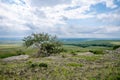 Views at Head-Smashed-In Buffalo Jump Royalty Free Stock Photo