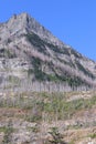 Kootenai Lakes hiking trail Glacier National Park Montana 4 Royalty Free Stock Photo