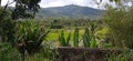 views of hills, rice fields, rivers, bamboo trees