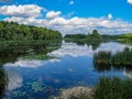 Views of Hungarian nature reserve Kis Balaton Little Balatonin the near from Lake Balaton